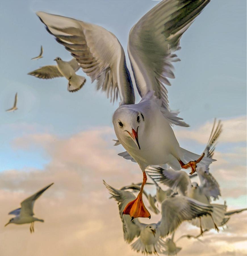 Pokoje Przy Plazy Z Widokiem Na Morze โซพอต ภายนอก รูปภาพ